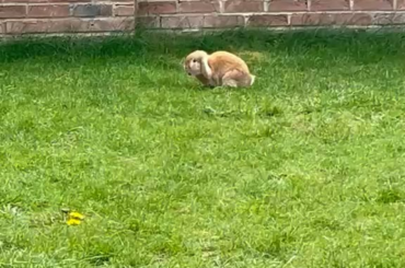 happy jump !!!