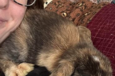 Meet Bean