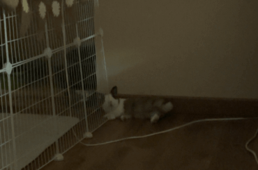 Bunny update 🫶