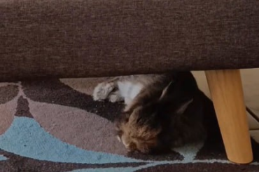 My baby falling asleep live