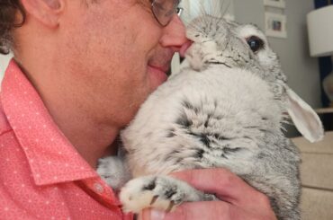 Happy Tuesday from Miss Maggie and me 😘 #bunnykisses