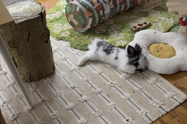 Come with me to crash this supafluffffy nap