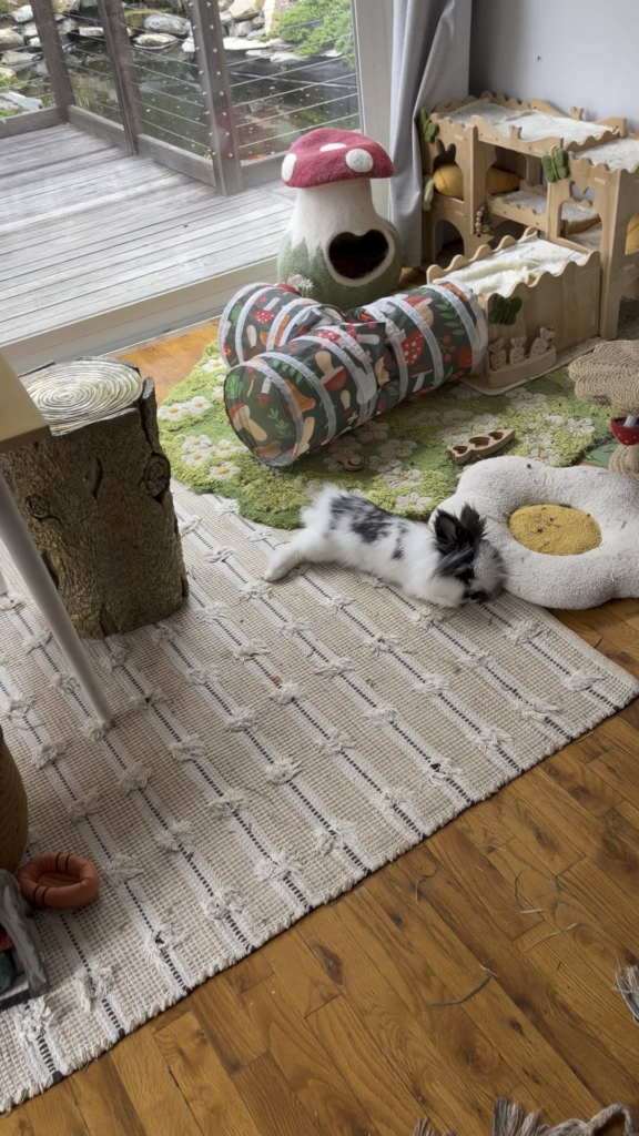 Come with me to crash this supafluffffy nap