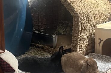 Like father like son. He loves his beans booty