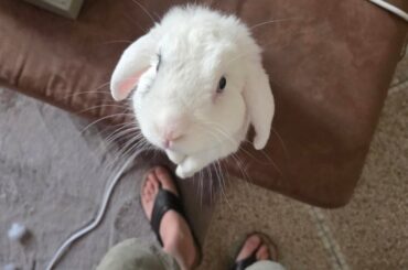 Need advice, stealing snack