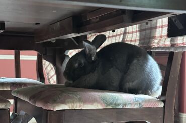 His favorite spot