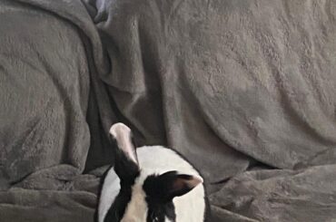 Interrupted these two scheming about something....