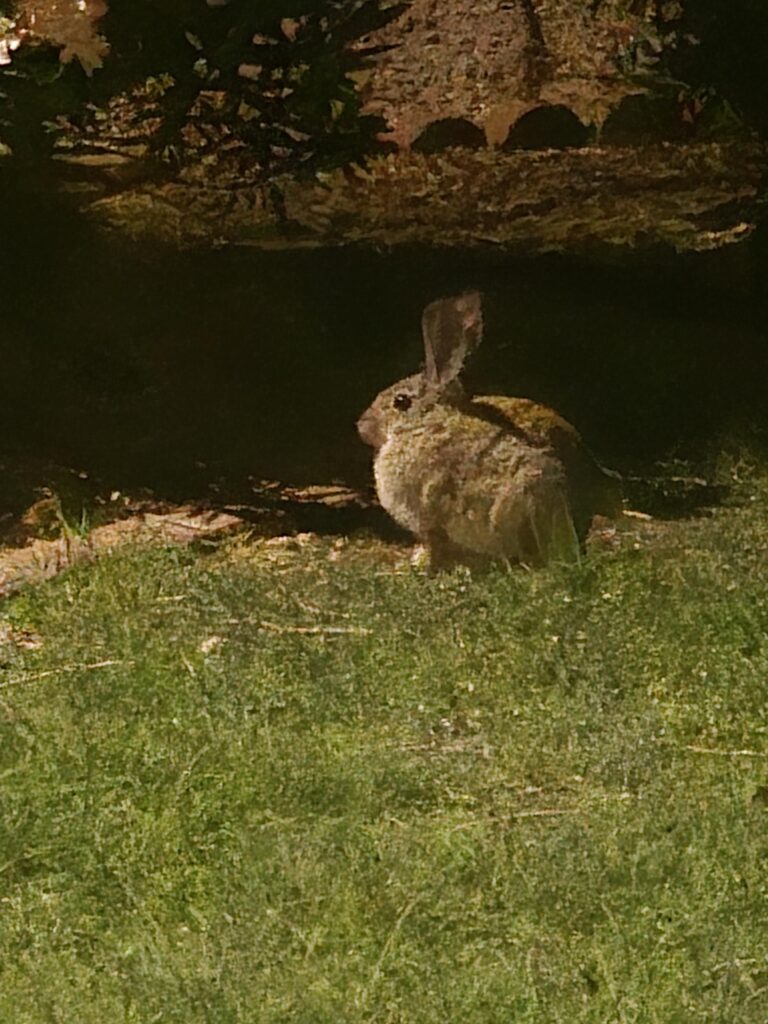 He’s so ROUND!