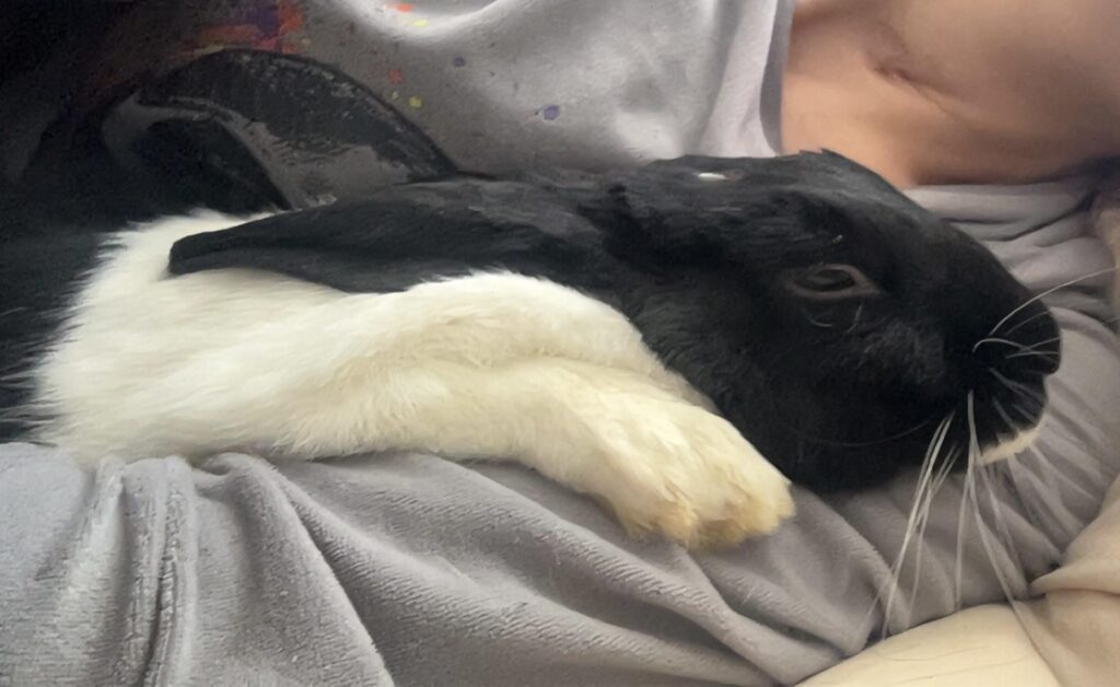 Hanni Cuddles 🥰