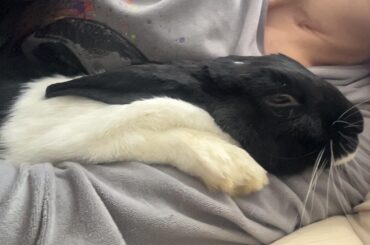 Hanni Cuddles 🥰
