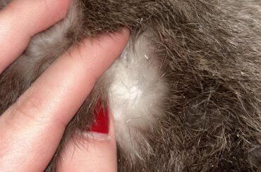 White flakey skin