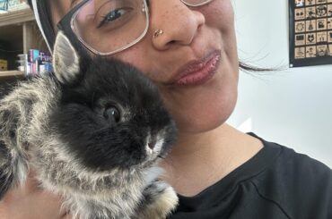Candles loves to escape his area so he can go downstairs and look out the window. What’s something silly your bunny does?