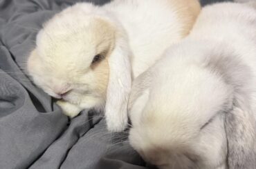 They’re starting the bonding journey soon!