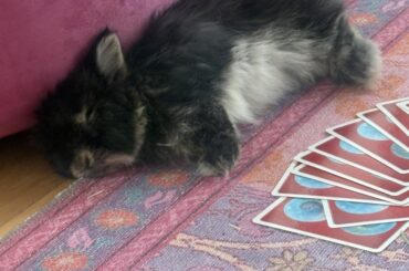 Sleepy Baby