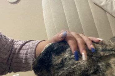 My jealousy of yalls cuddly bunnies are killing me 😭