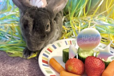 Somebunny is 10 years old
