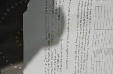 My bunny ate my homework! 😭