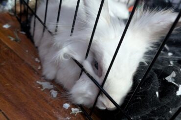 Lounging in his favorite spot