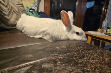Chillin'