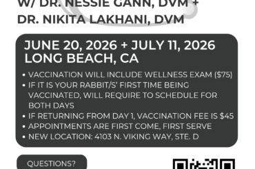 Posted with Permission: Low-cost RHDV-2 vaccine clinic in Long Beach — June 20, $75 (exam + dose included)