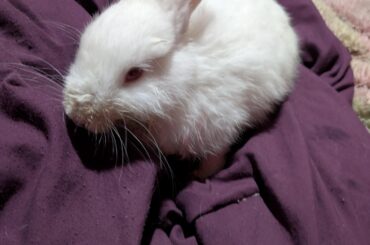 Tofu update. If you don't know what I'm talking abt please check my other post