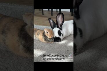 Wife refuses to leave husbands side