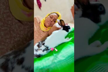 Cute Baby Bunny #bunny #rabbit #kids #kidsvideo #cute #trending