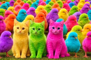 Funny Chicken Catch, colorful chicken, rainbow chicken, cute rabbit, cute duck, koi fish, Cute An...