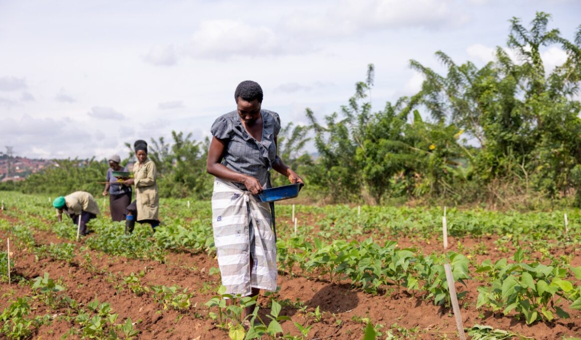 Africa: How African Agriculture Must Build Against the Next Global Shock