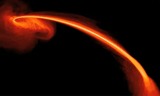 Black holes keep tearing these stars apart, but they survive