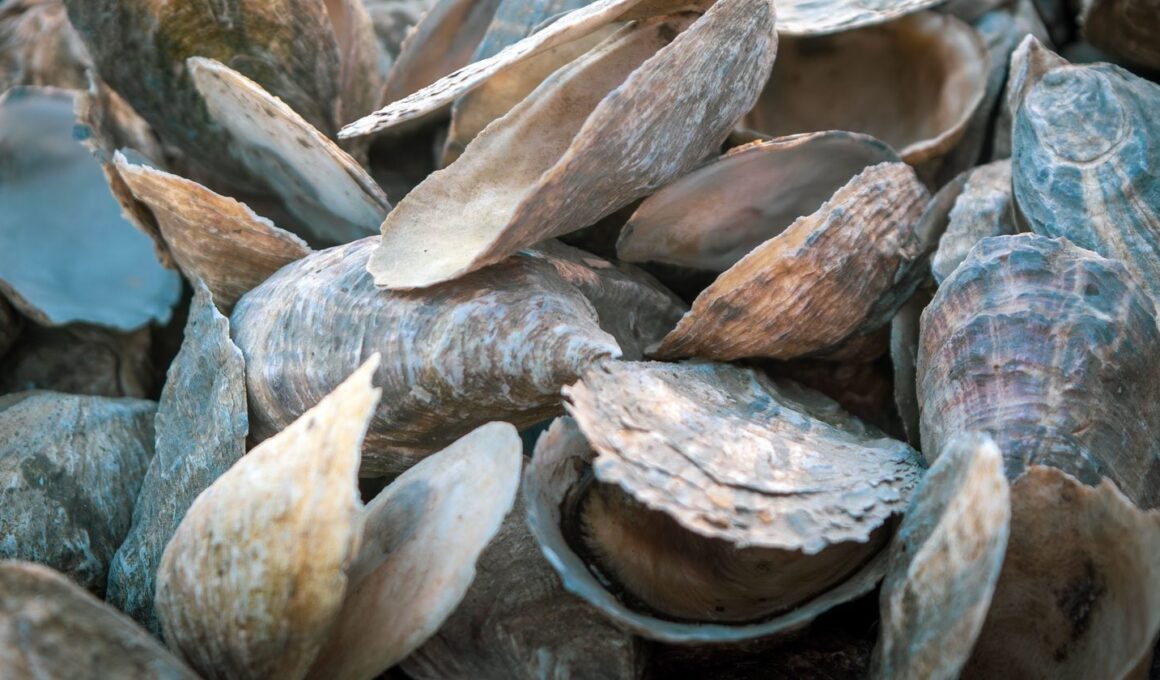 Researchers picked oyster, mussel and cockle shells off Irish beaches, crushed the 3 kinds of shell into grains, and dropped them into water carrying rare earth metals at concentrations similar to badly polluted industrial runoff. The oyster grains took up as much as roughly 1.5 grams of metal for every gram of shell.