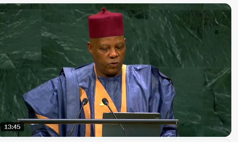 VP Shettima3