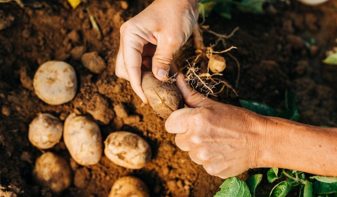Newswise: Agriculture Is Producing More with More. That’s the Problem