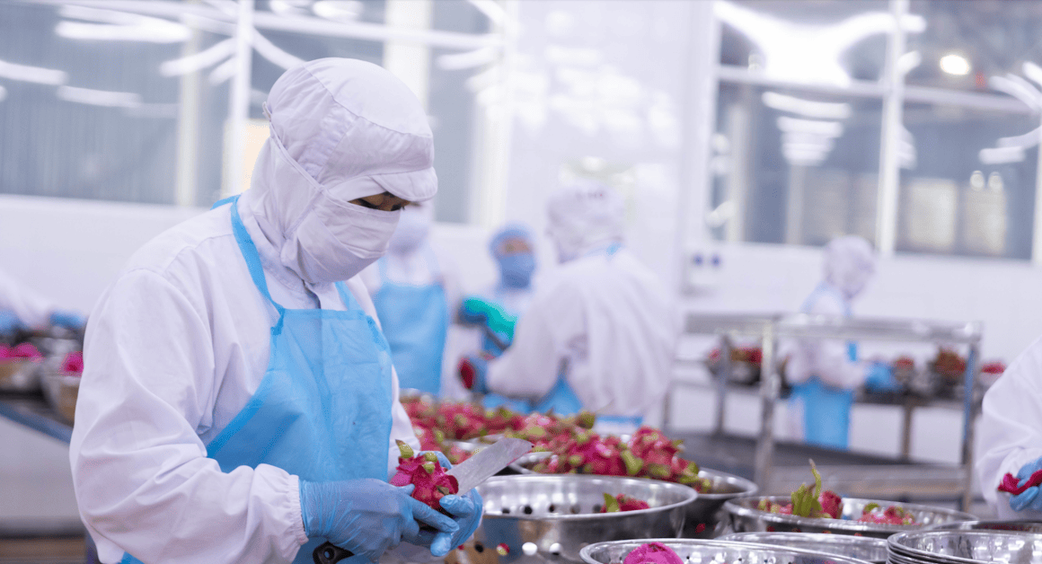 FIEs dominate exports, local firms struggle in low-value segments