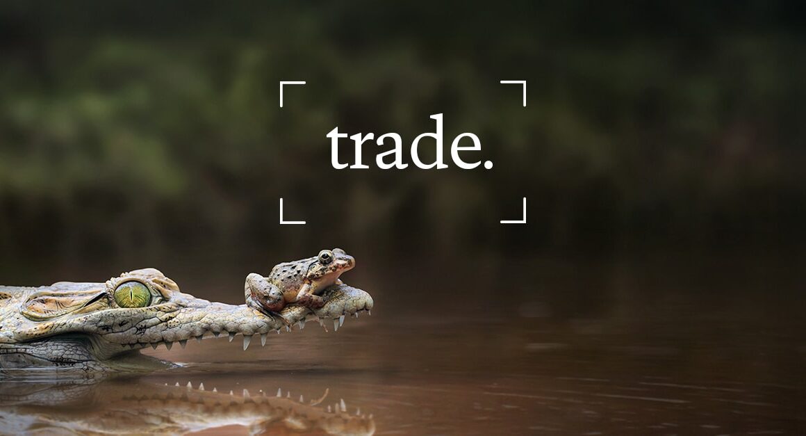 Trade and the new investment cycle