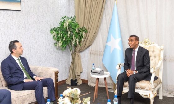 Turkiye Ambassador PM Hamza