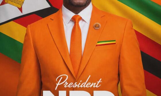 Mnangagwa and Zanu PF Are Architects of Economic Collapse, Says NPD President Fambi – ZimEye