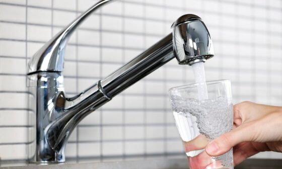 The Best Whole-House Water Filters of 2026, Expert Picks