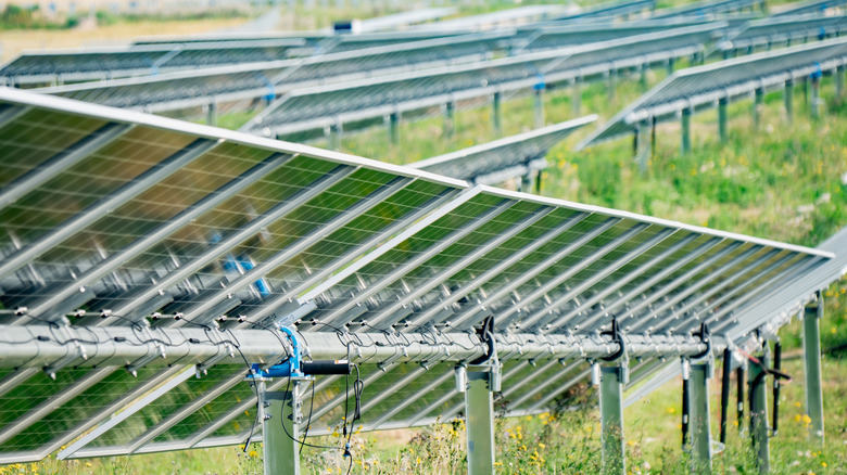 solar panels with trackers attached